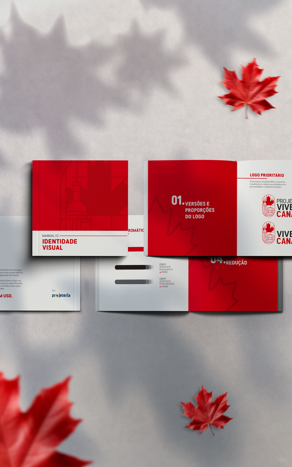 projeteria_portfolio_vivercanada_02